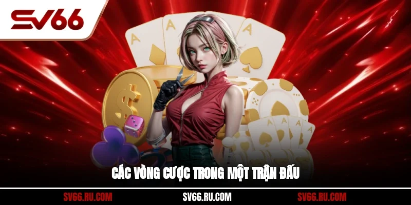 Các vòng cược trong một trận đấu