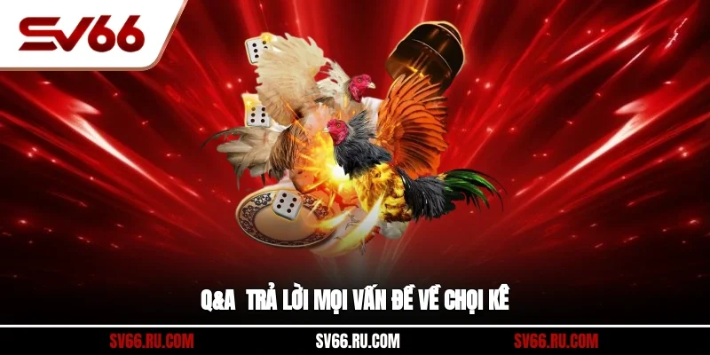 Q&A - Trả lời mọi vấn đề về chọi kê