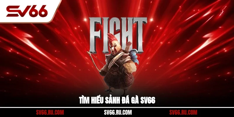 Tìm hiểu sảnh đá gà SV66