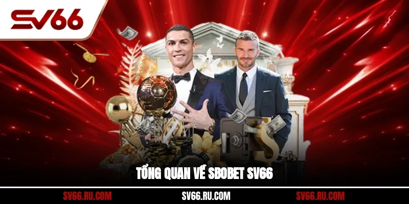 Tổng quan về SBOBET SV66